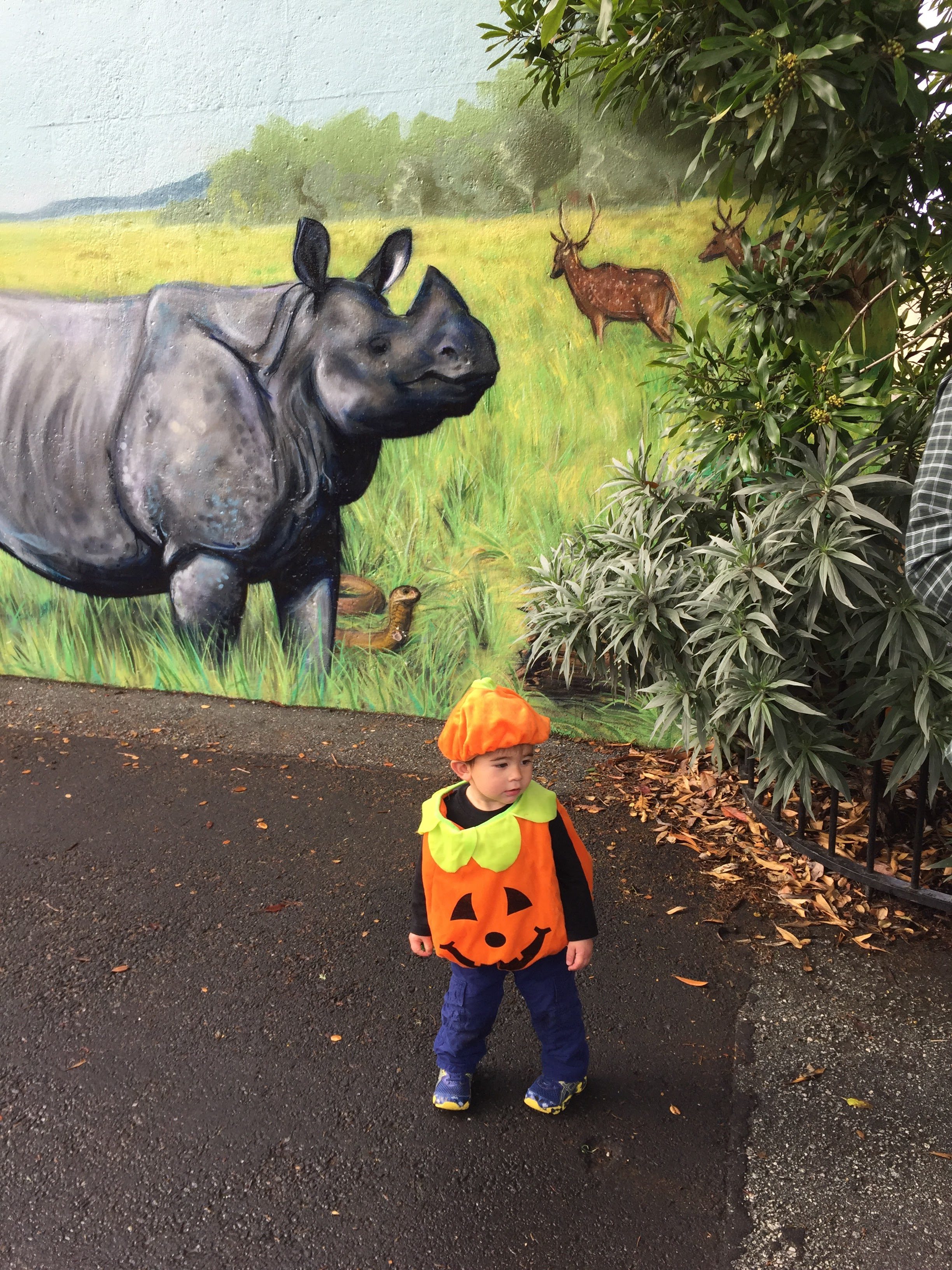 Boo at the Zoo