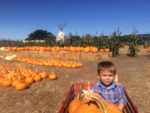 Wagon ride at Farmer John's