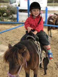 Pony Ride in San Francisco