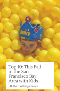 Top Things to Do in San Francisco This Fall | San Francisco with Kids | Henry and Andrew's Guide (www.henryandandrewsguide.com)