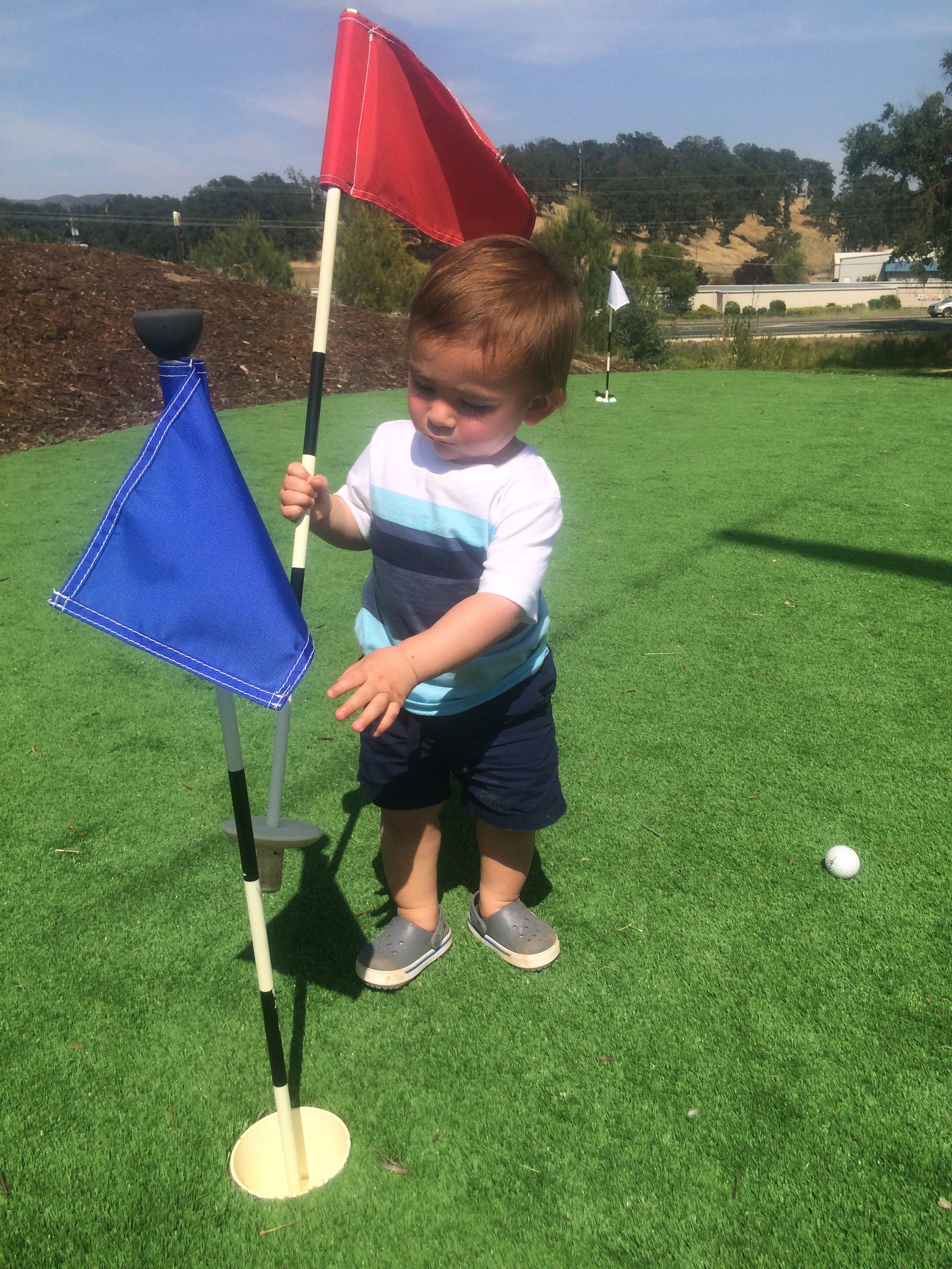 Wineries with kids golf
