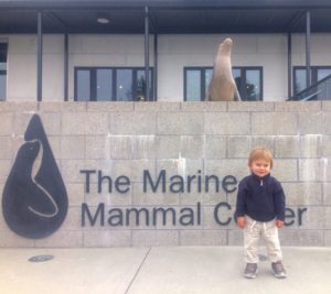 Marine Mammal Center