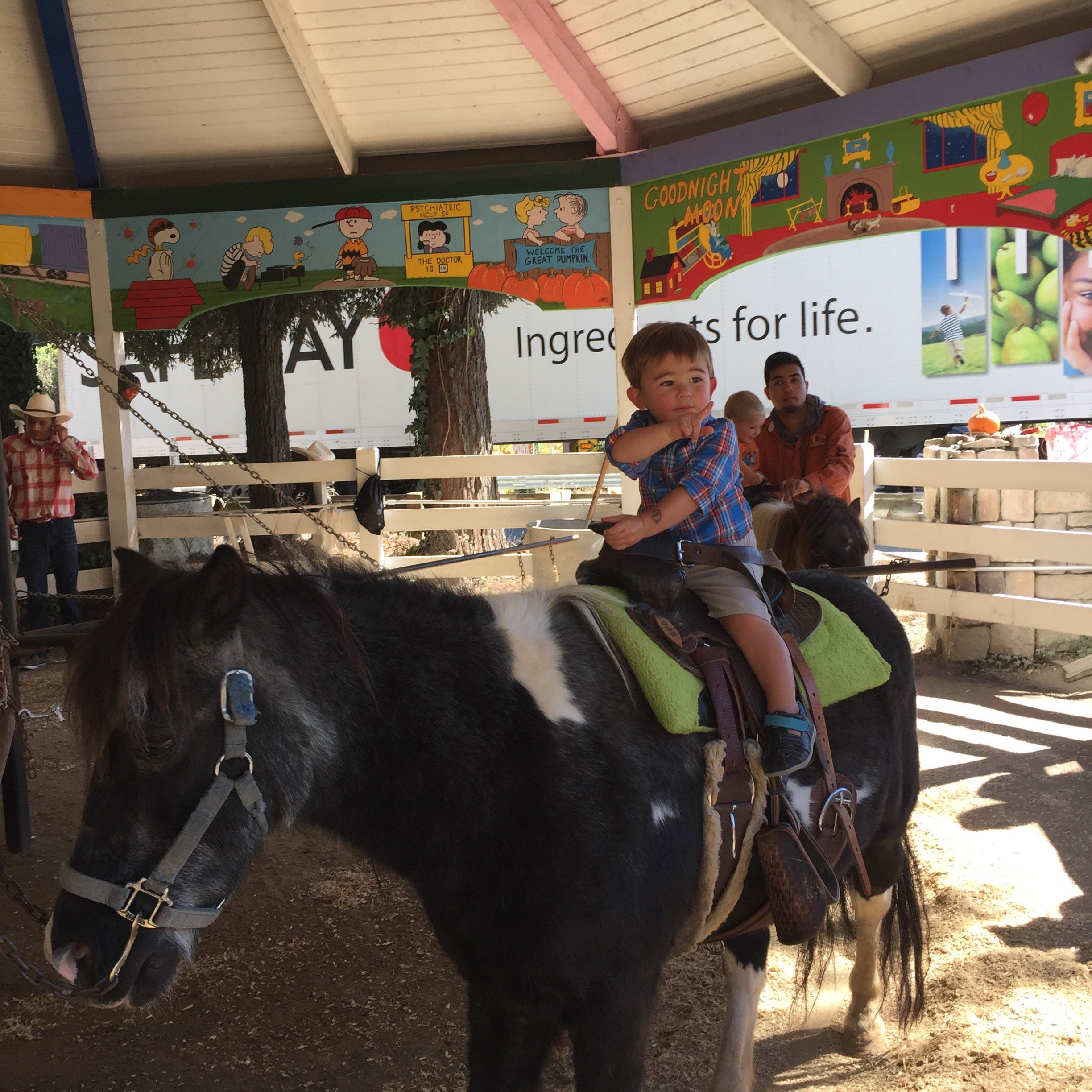 Pony Ride at Lemos