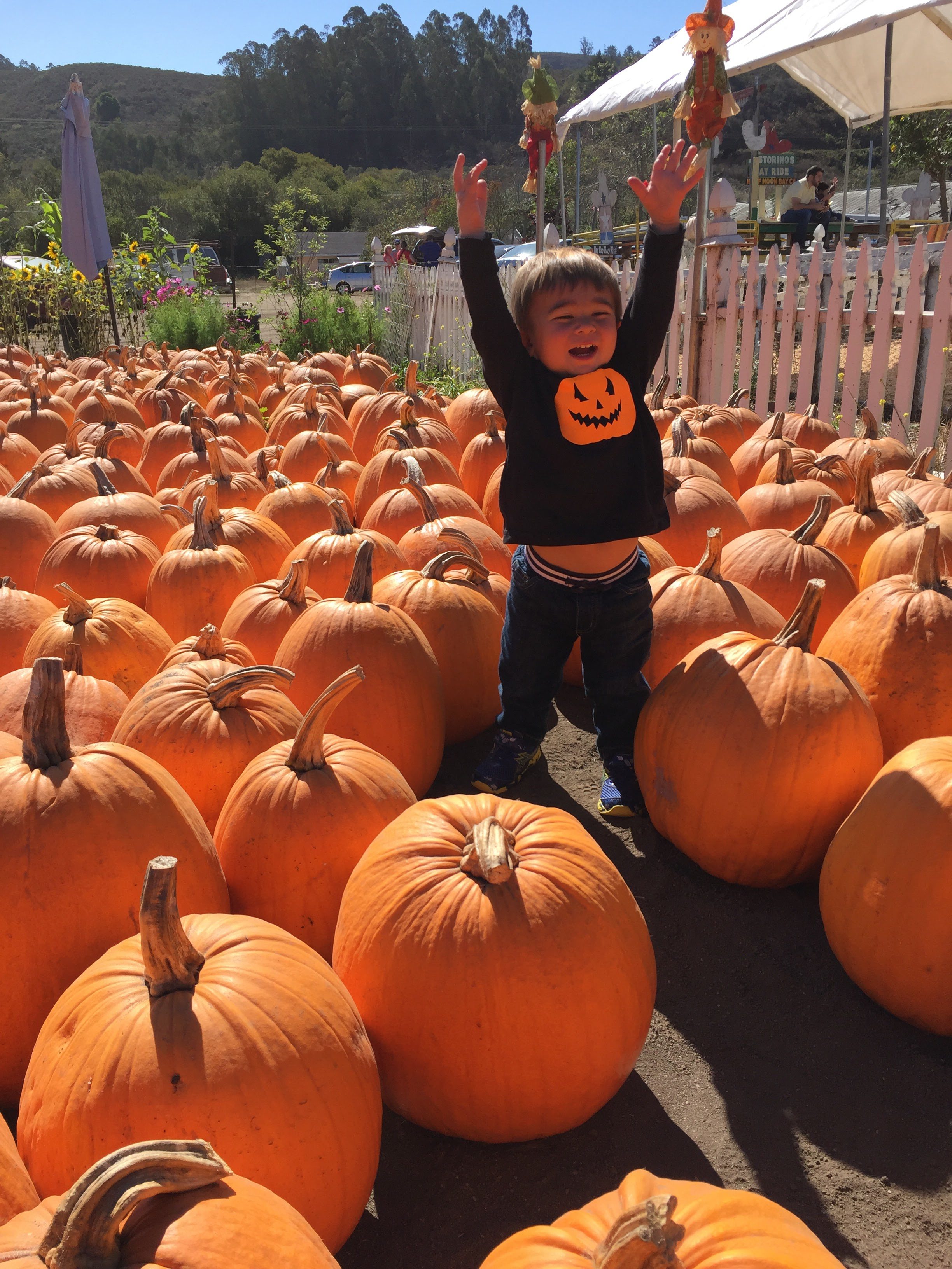 Top 10+ Things To Do This Fall in the San Francisco Bay Area with Kids