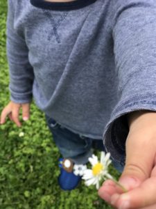 Golden Gate Park with Kids