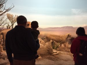 Golden Gate Park with Kids