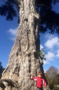 Golden Gate Park with Kids