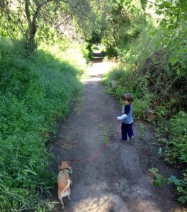 Golden Gate Park with Kids