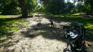 Golden Gate Park with Kids