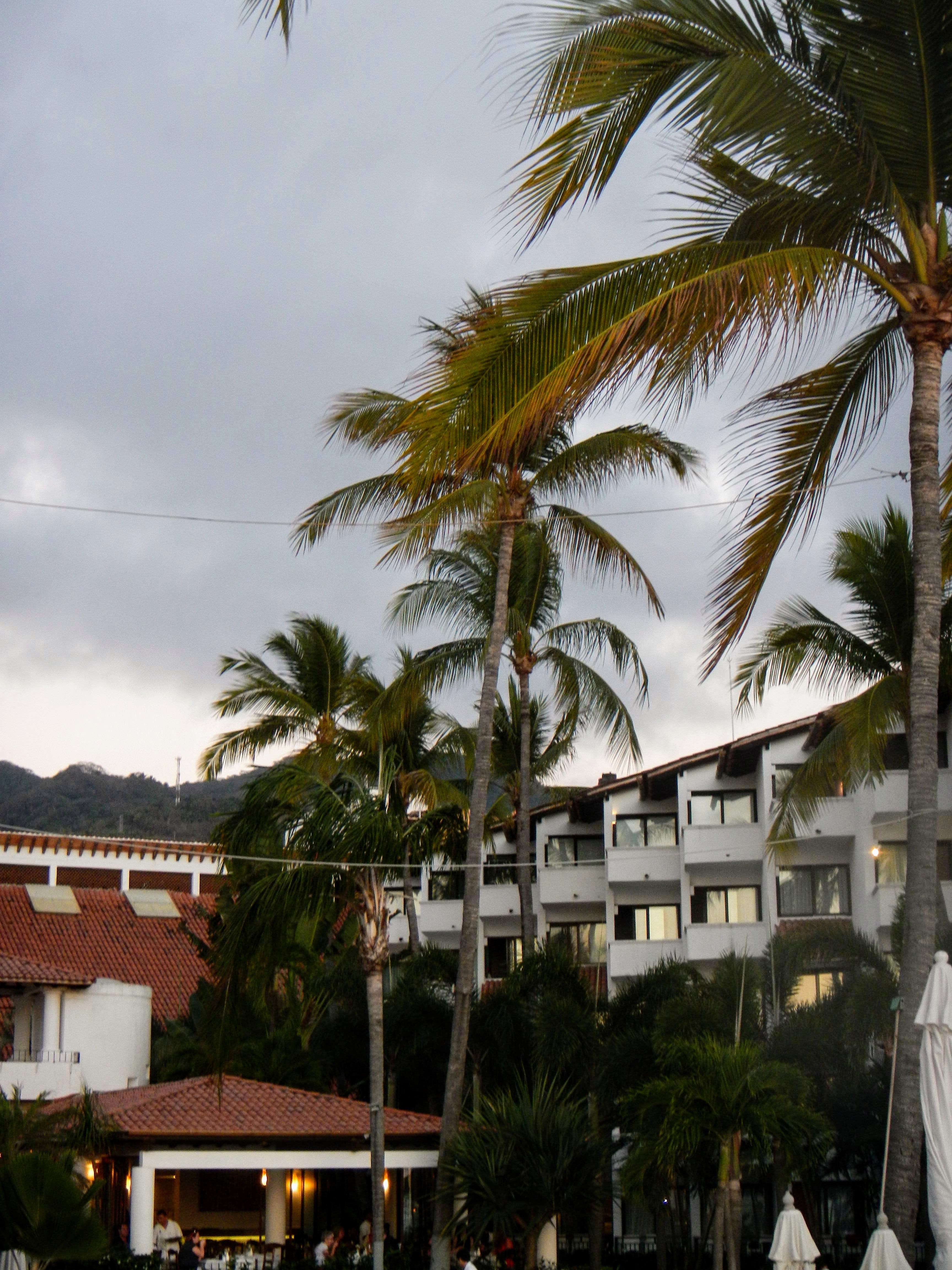 Puerto Vallarta with kids