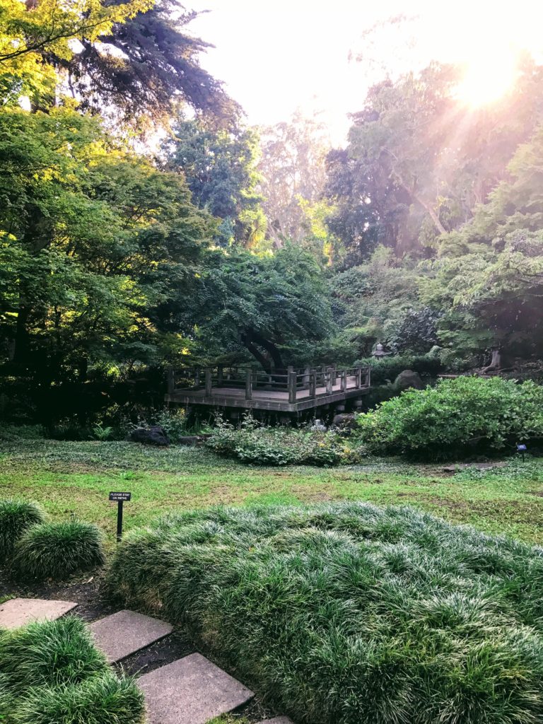 Early morning sun rays at the Botanical Garden