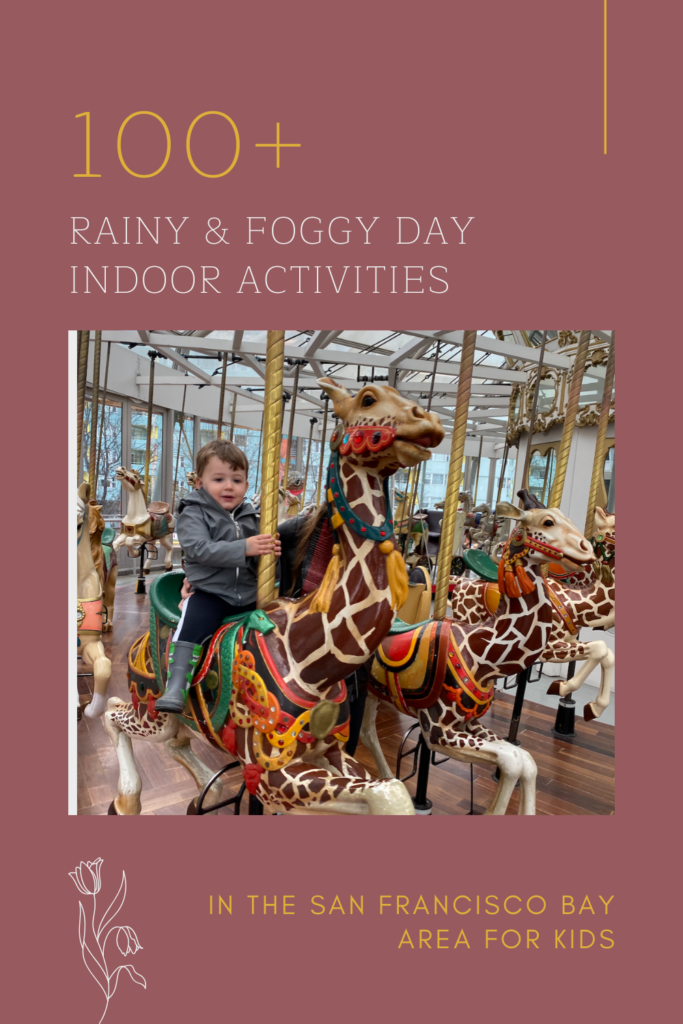 Things to Do On A Rainy Day in San Francisco