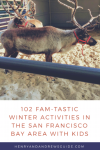 Winter Holiday Activities in San Francisco Bay Area with Kids - 102 Fam-Tastic List