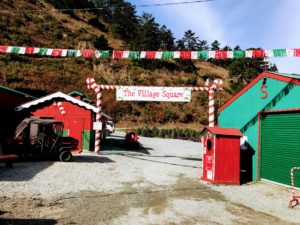 Holiday activities in San Francisco