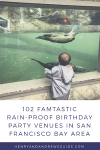 Rainy Day Birthday Party | San Francisco Bay Area Birthday Party | San Francisco Birthday Party | Birthday Party Venues 