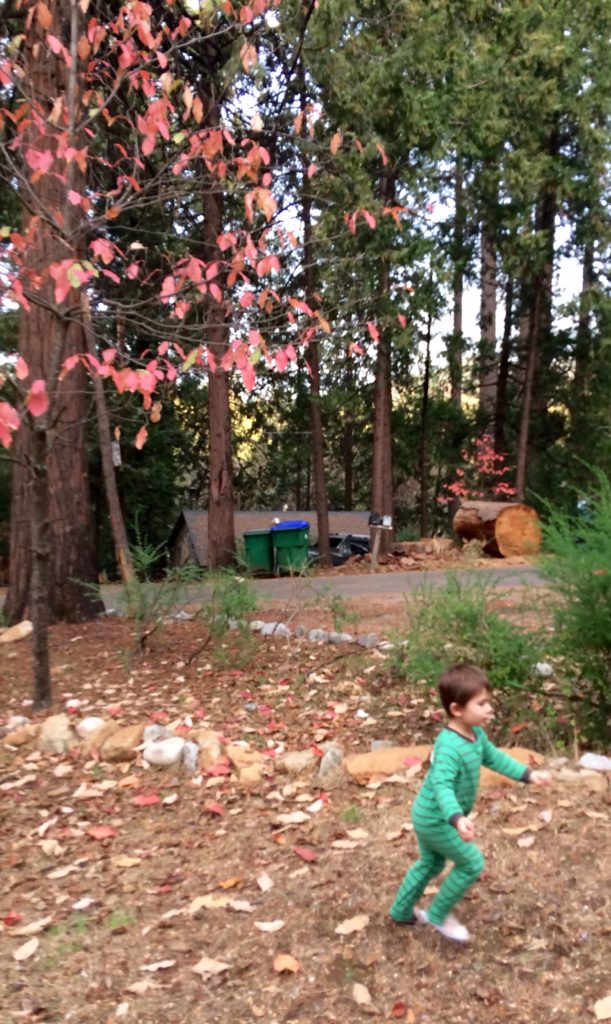 Stanislaus National Forest with kids | Strawberry with Kids | Twain Harte with Kids | Tuolumne County with kids