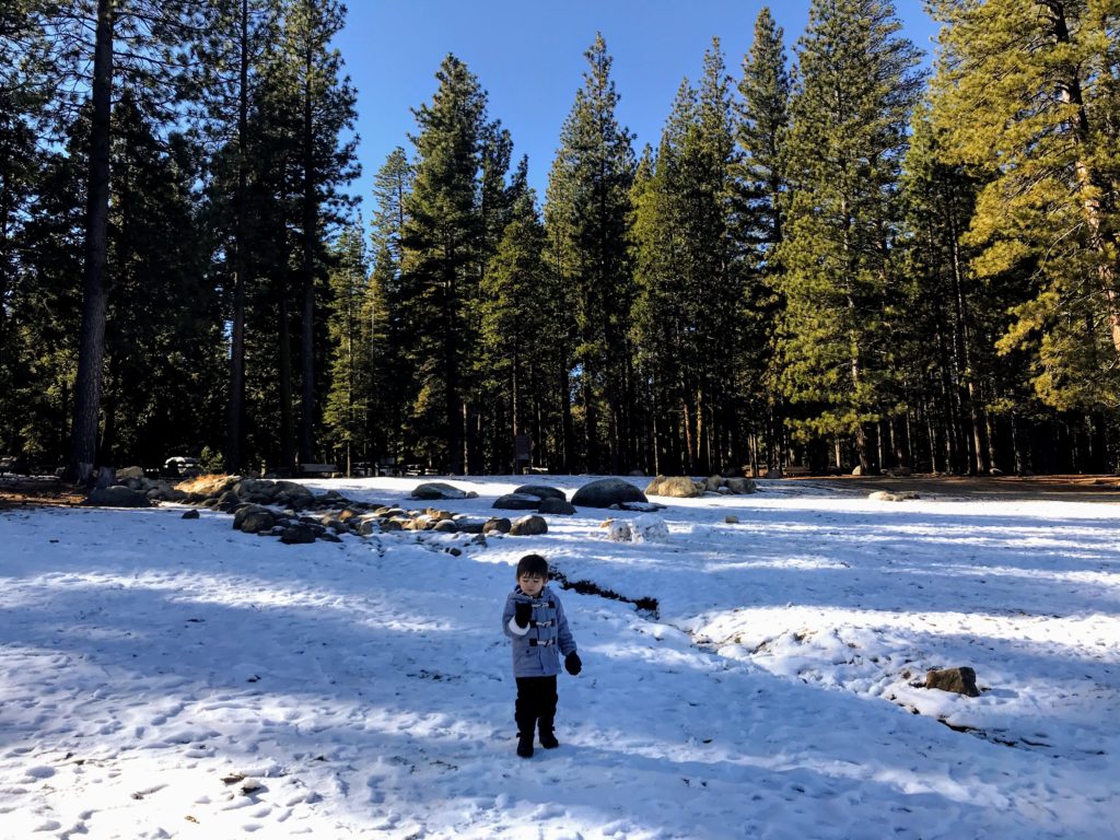 Stanislaus National Forest with kids | Strawberry with Kids | Twain Harte with Kids | Tuolumne County with kids