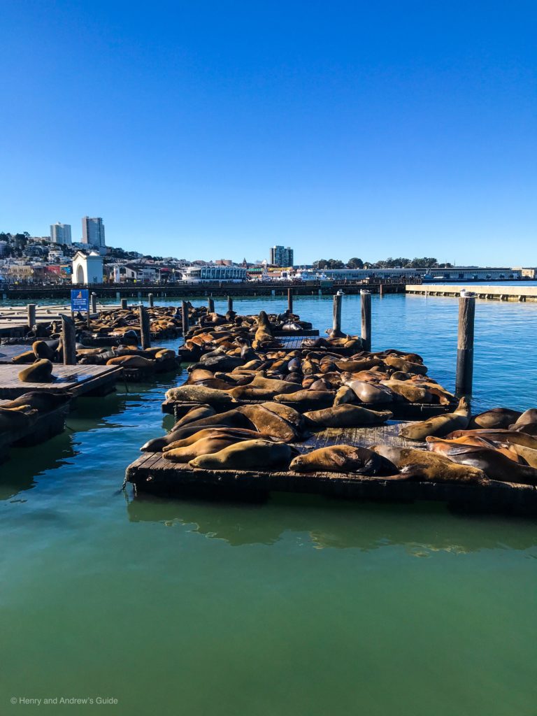 Free at Fisherman's Wharf | San Francisco with Kids | Free Activities in San Francisco with Kids | Henry and Andrew's Guide