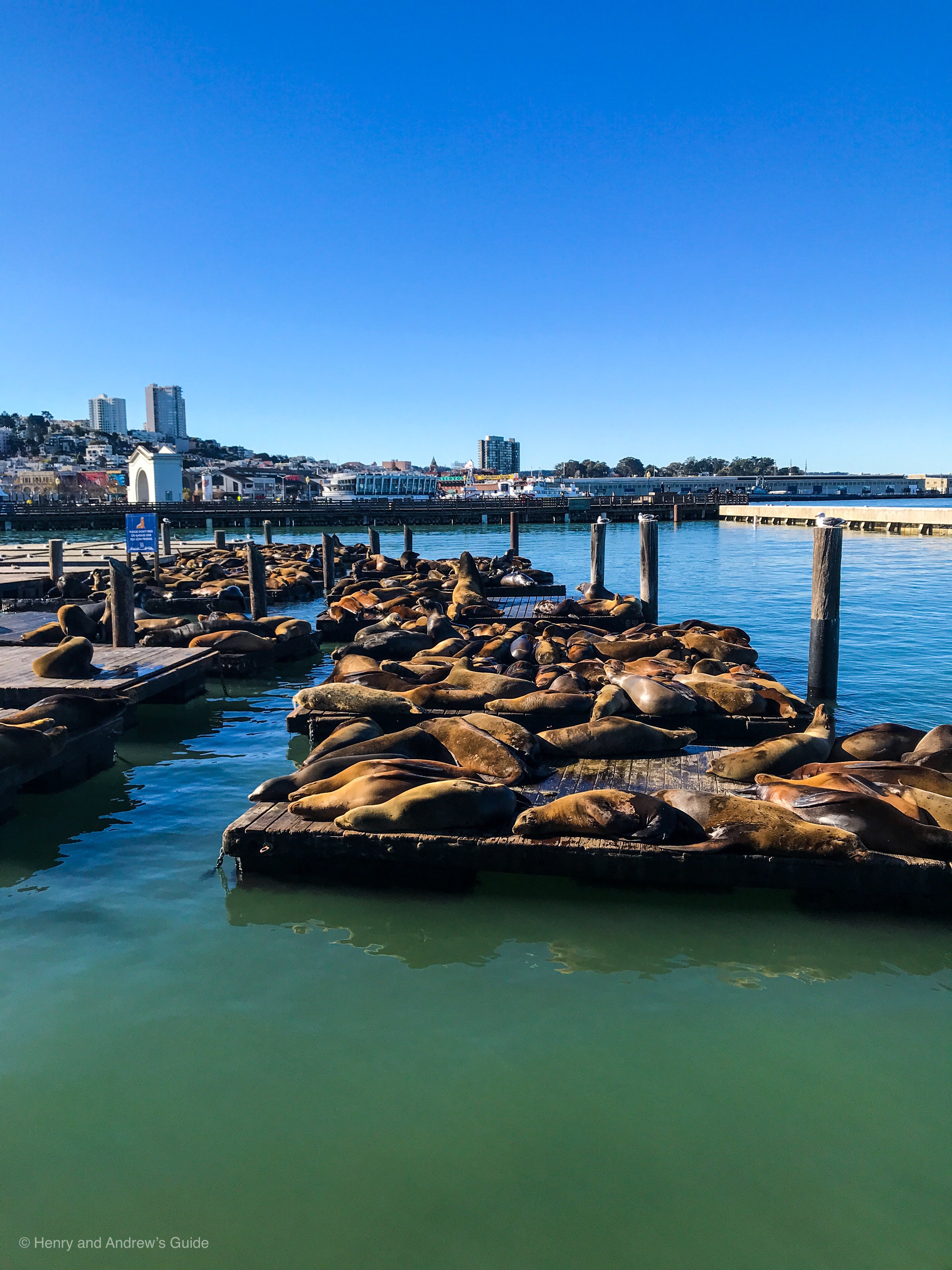 Free at fisherman s wharf san francisco with kids free activities