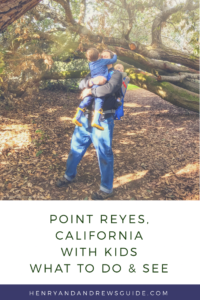 Point Reyes with a Toddler and a Baby | San Francisco with Kids | Henry and Andrew's Guide (www.henryandandrewsguide.com)