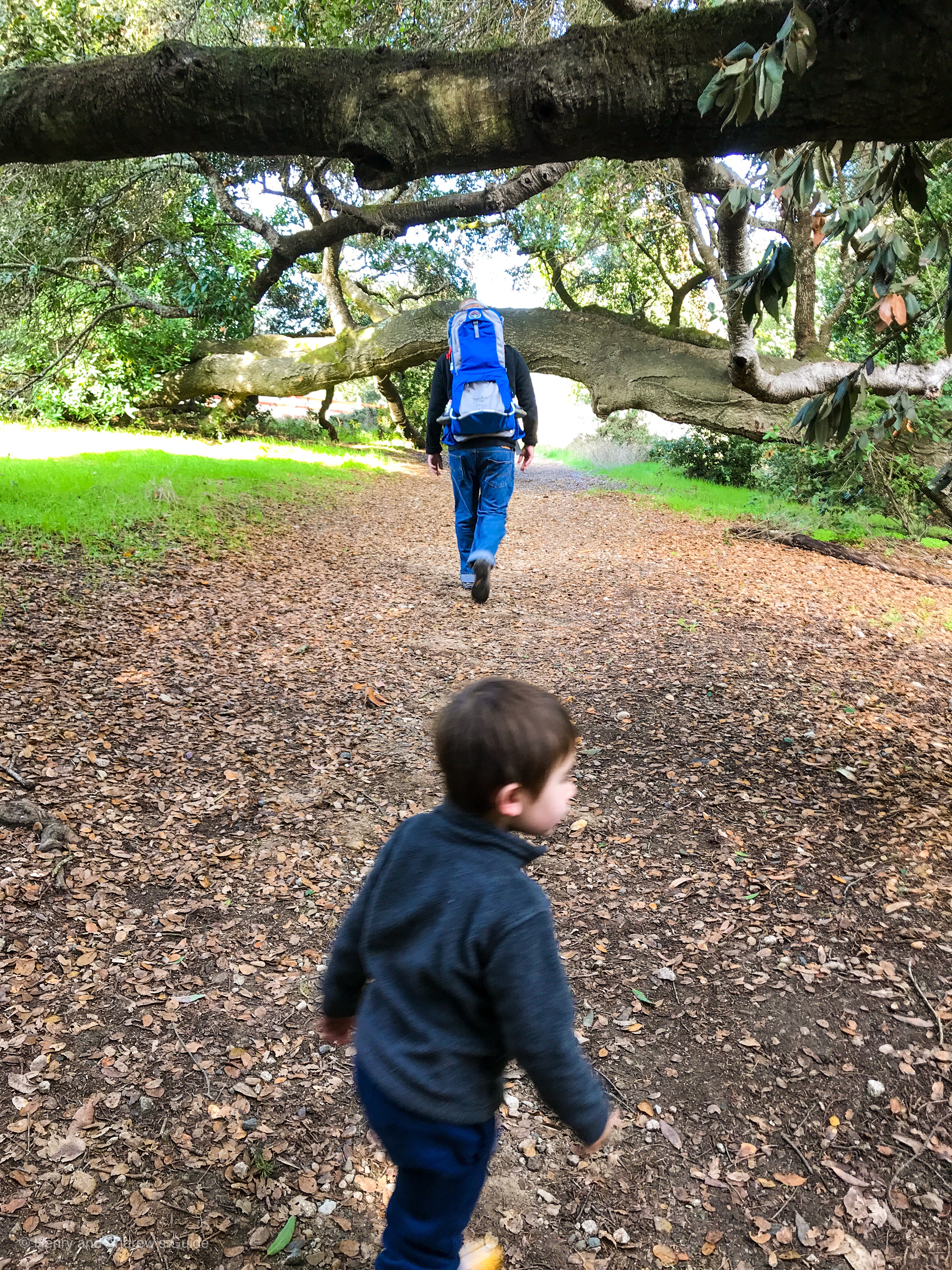 Point Reyes with Toddler | Kule Loklo Hiking Trail with Kids | Henry and Andrew's Guide (www.henryandandrewsguide.com)