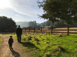 Point Reyes with Toddler | Kule Loklo Hiking Trail with Kids | Henry and Andrew's Guide (www.henryandandrewsguide.com)