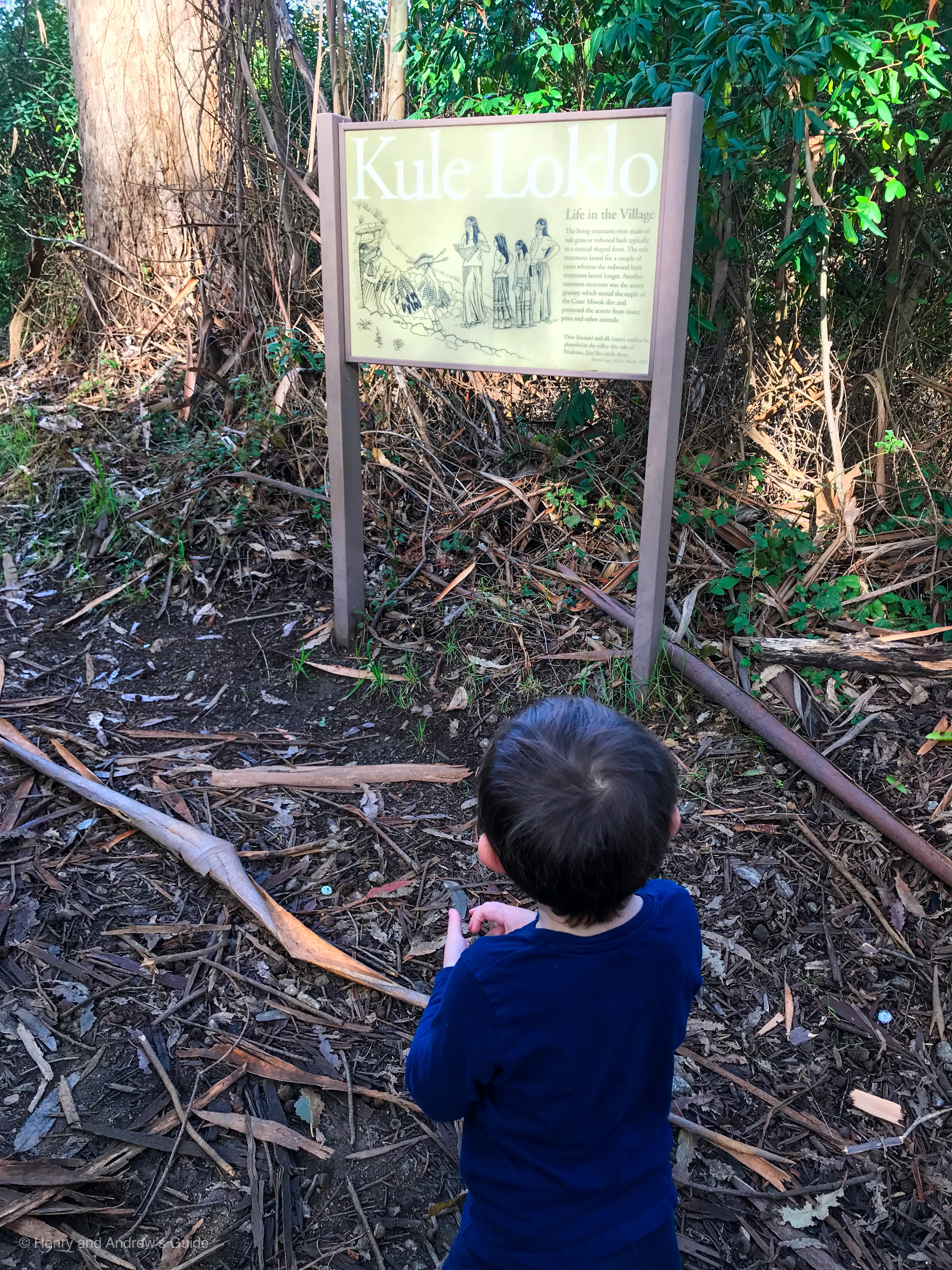 Point Reyes with Toddler | Kule Loklo Hiking Trail with Kids | Henry and Andrew's Guide (www.henryandandrewsguide.com)