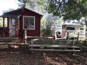 Morgan Horse Ranch with Toddler | Point Reyes with Toddler | Henry and Andrew's Guide (www.henryandandrewsguide.com)