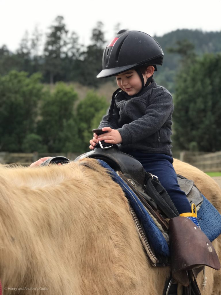 Five Brooks Stable with Toddler | Point Reyes with Kids | Henry and Andrew's Guide (www.henryandandrewsguide.com)