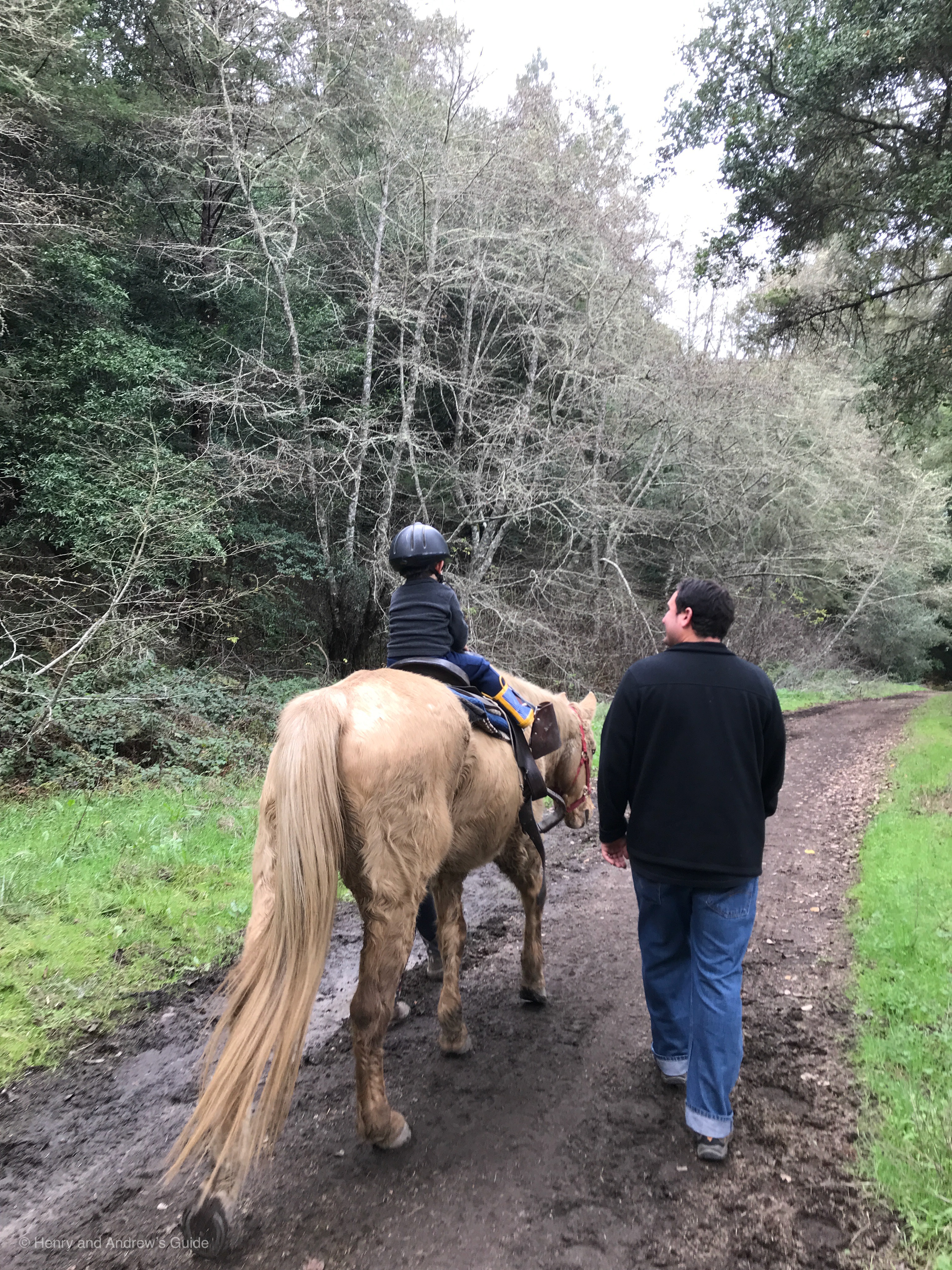 Five Brooks Stable with Toddler | Point Reyes with Kids | Henry and Andrew's Guide (www.henryandandrewsguide.com)