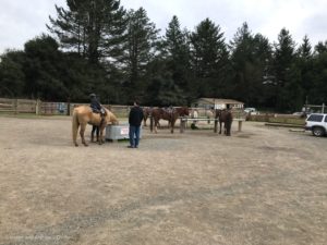 Five Brooks Stable with Toddler | Point Reyes with Kids | Henry and Andrew's Guide (www.henryandandrewsguide.com)