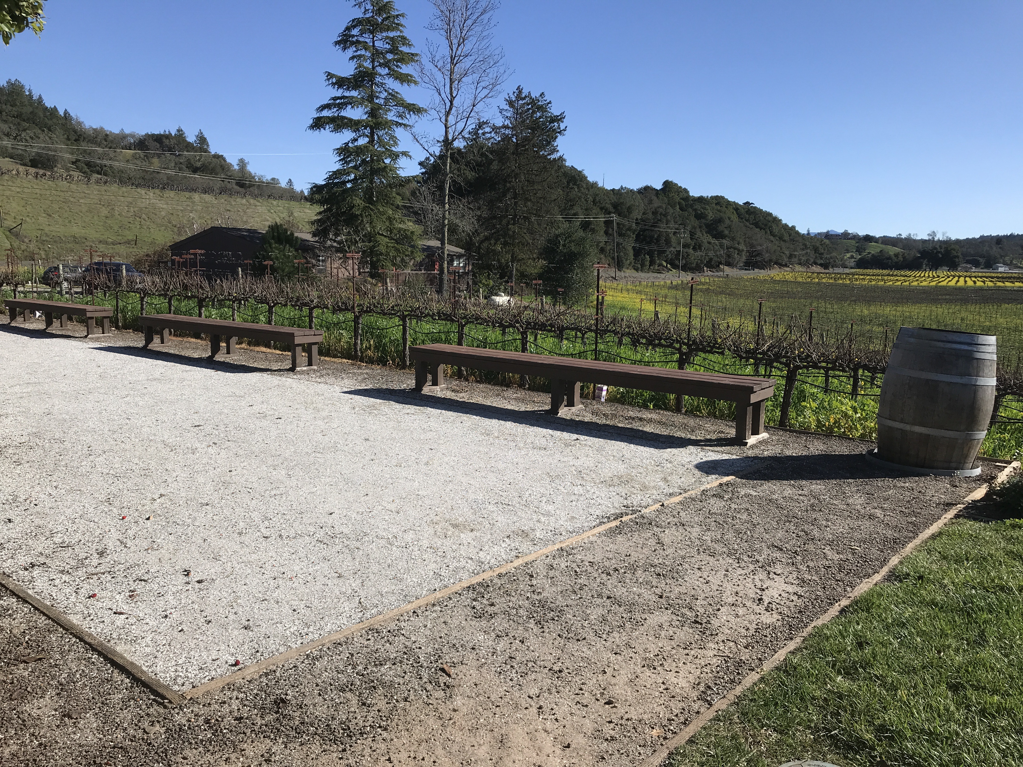 Ultimate List of Kid-Friendly Wineries in Sonoma | San Francisco with Kids | Family Friendly Wineries | Henry and Andrew’s Guide (www.henryandandrewsguide.com)