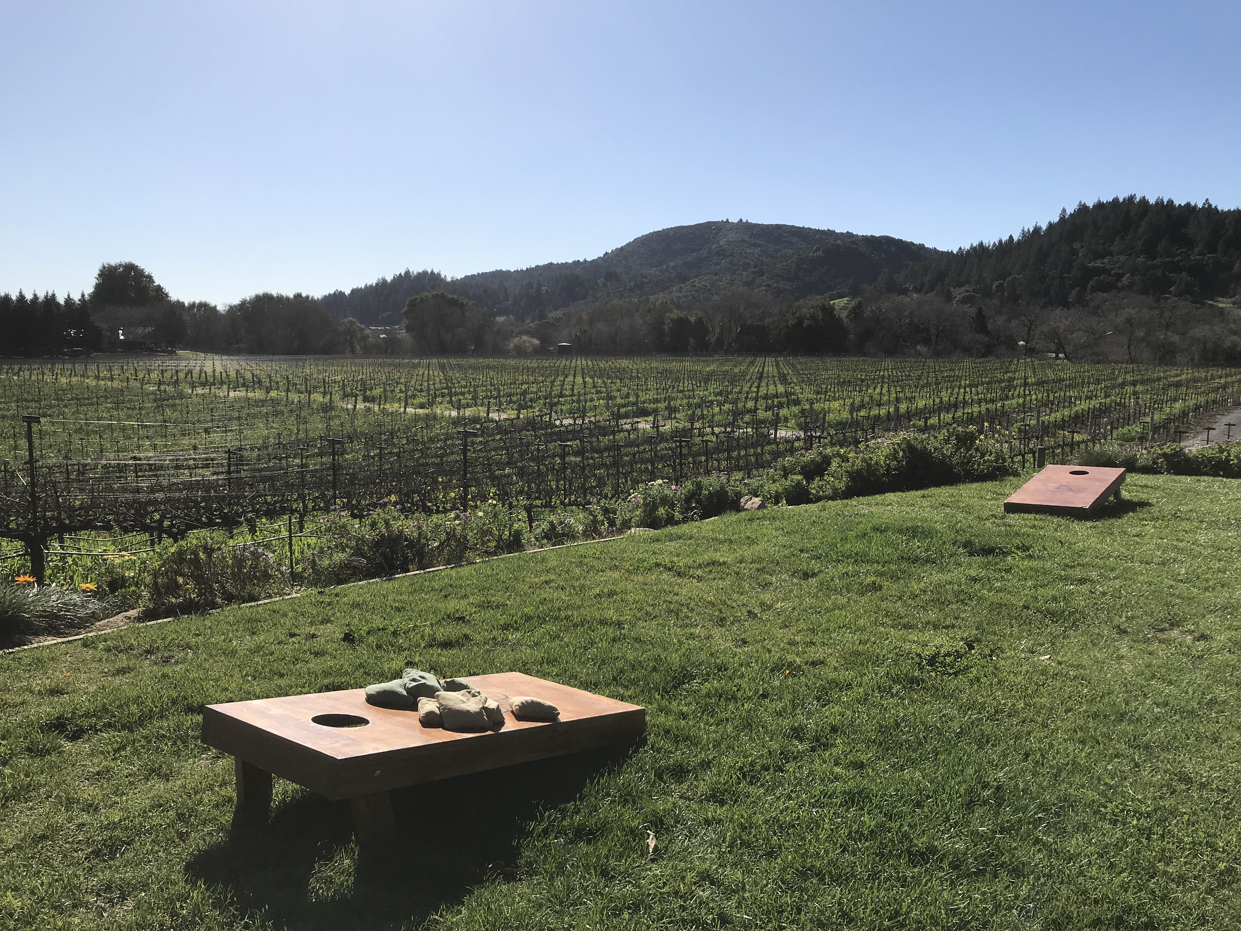 Ultimate List of Kid-Friendly Wineries in Sonoma | San Francisco with Kids | Family Friendly Wineries | Henry and Andrew’s Guide (www.henryandandrewsguide.com)