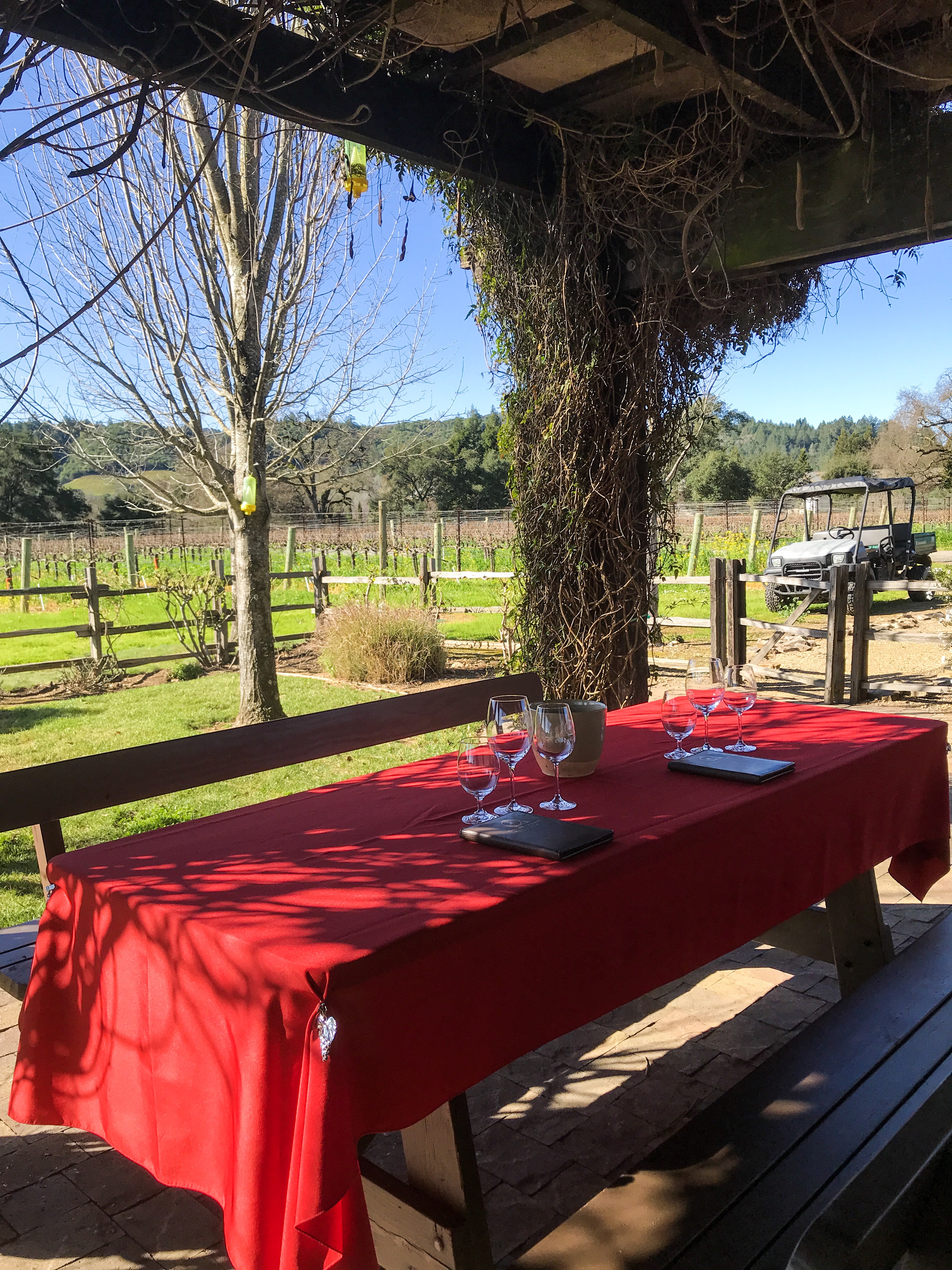 Ultimate List of Kid-Friendly Wineries in Sonoma | San Francisco with Kids | Family Friendly Wineries | Henry and Andrew’s Guide (www.henryandandrewsguide.com)