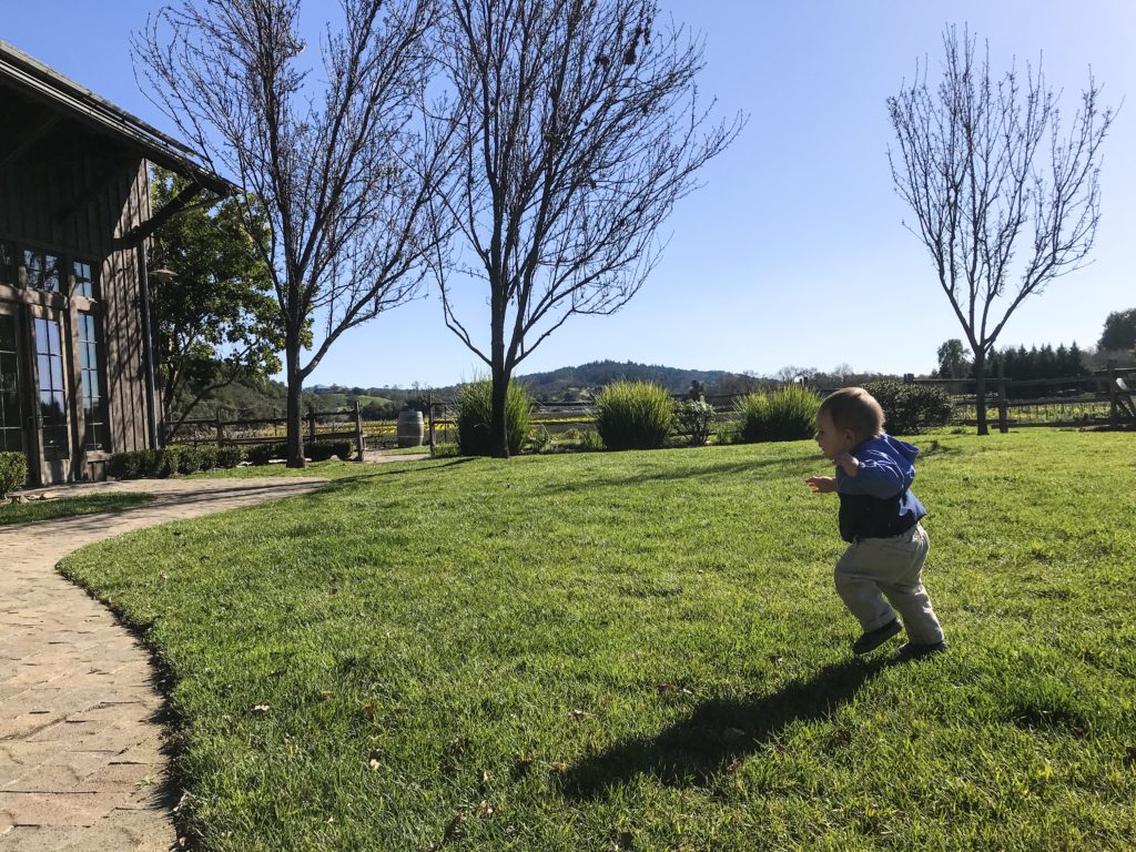 Ultimate List of Kid-Friendly Wineries in Sonoma | San Francisco with Kids | Family Friendly Wineries | Henry and Andrew’s Guide (www.henryandandrewsguide.com) 