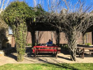 Ultimate List of Kid-Friendly Wineries in Sonoma | San Francisco with Kids | Family Friendly Wineries | Henry and Andrew’s Guide (www.henryandandrewsguide.com)