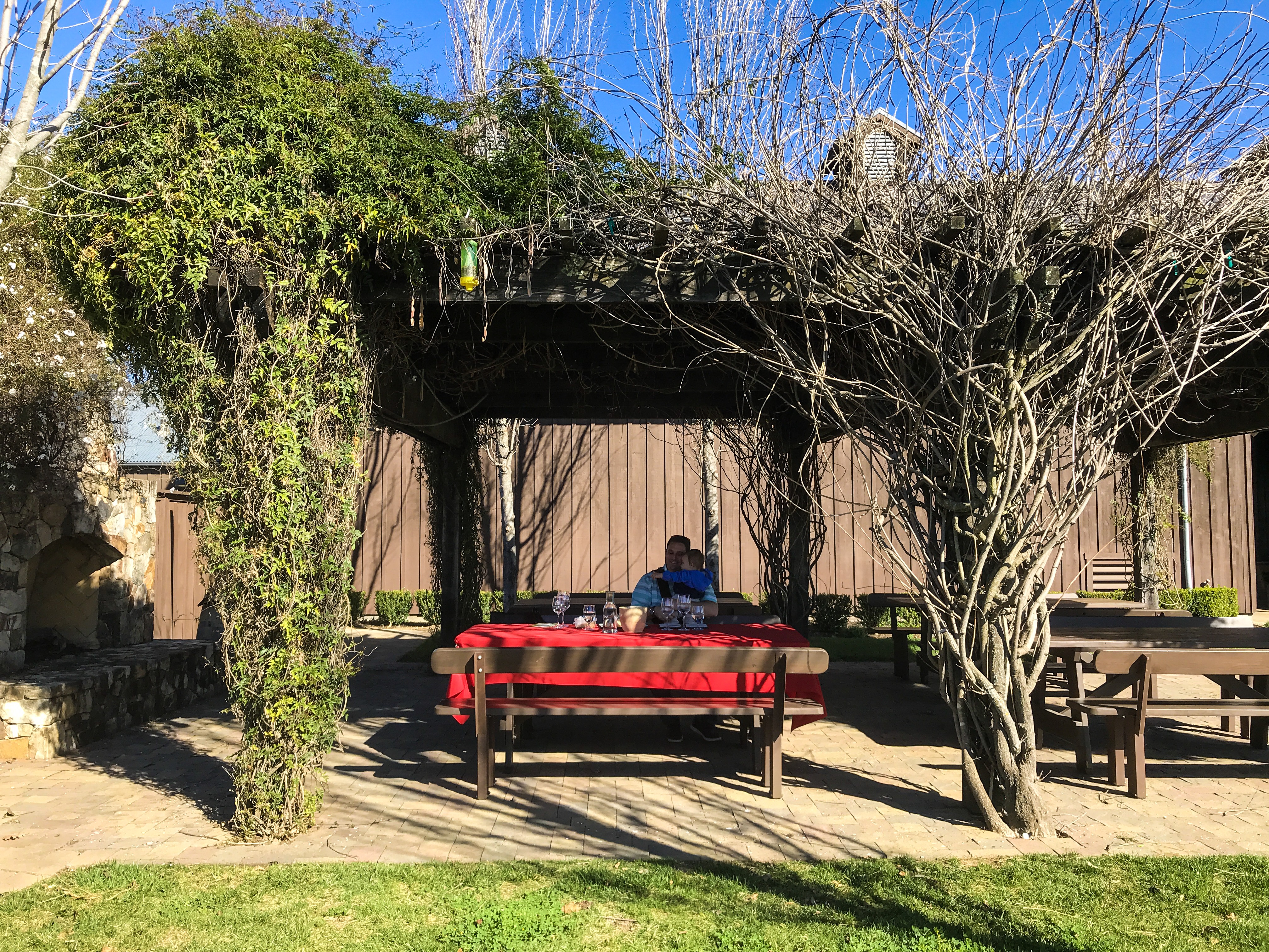 Ultimate List of Kid-Friendly Wineries in Sonoma | San Francisco with Kids | Family Friendly Wineries | Henry and Andrew’s Guide (www.henryandandrewsguide.com)