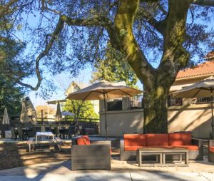 Ultimate List of Kid-Friendly Wineries in Sonoma | San Francisco with Kids | Family Friendly Wineries | Henry and Andrew’s Guide (www.henryandandrewsguide.com)