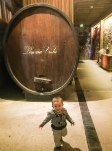 Ultimate List of Kid-Friendly Wineries in Sonoma | San Francisco with Kids | Family Friendly Wineries | Henry and Andrew’s Guide (www.henryandandrewsguide.com) Ultimate List of Kid-Friendly Wineries in Sonoma | San Francisco with Kids | Family Friendly Wineries | Henry and Andrew’s Guide (www.henryandandrewsguide.com)