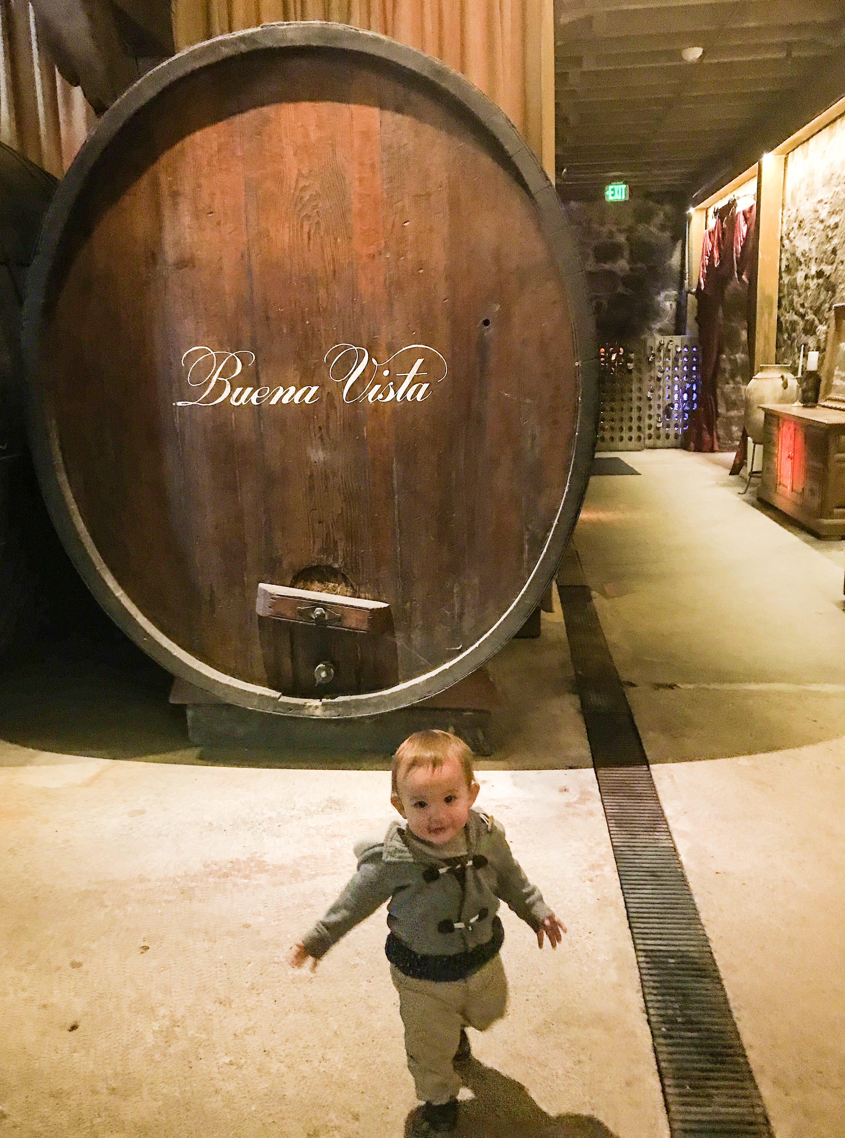 Ultimate List of Kid-Friendly Wineries in Sonoma | San Francisco with Kids | Family Friendly Wineries | Henry and Andrew’s Guide (www.henryandandrewsguide.com) Ultimate List of Kid-Friendly Wineries in Sonoma | San Francisco with Kids | Family Friendly Wineries | Henry and Andrew’s Guide (www.henryandandrewsguide.com)