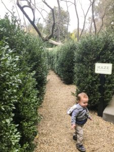 Ultimate List of Kid-Friendly Wineries in Sonoma | San Francisco with Kids | Family Friendly Wineries | Henry and Andrew’s Guide (www.henryandandrewsguide.com)