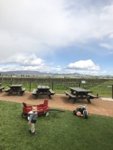 Ultimate List of Kid-Friendly Wineries in Sonoma | San Francisco with Kids | Family Friendly Wineries | Henry and Andrew’s Guide (www.henryandandrewsguide.com)