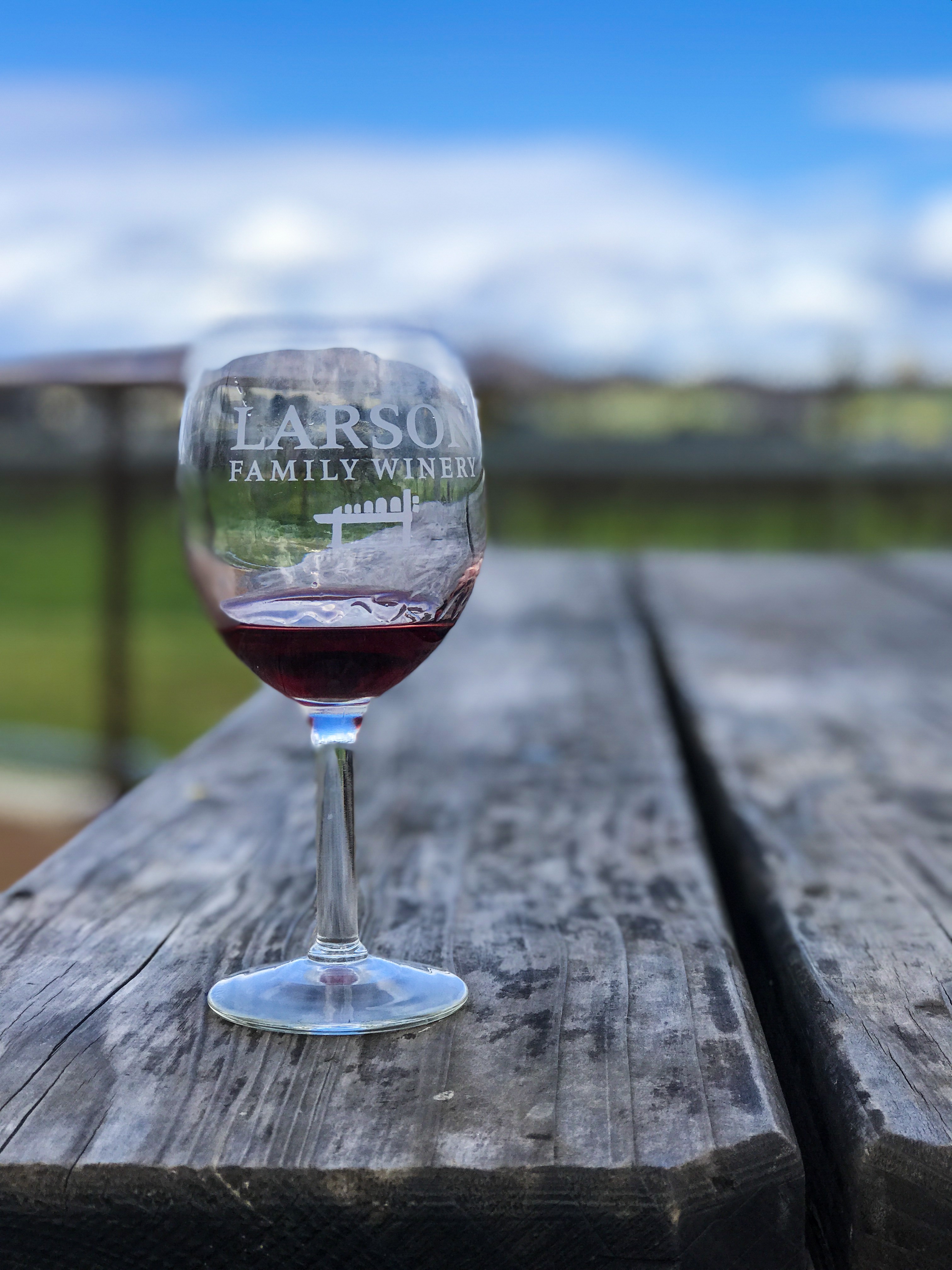 Ultimate List of Kid-Friendly Wineries in Sonoma | San Francisco with Kids | Family Friendly Wineries | Henry and Andrew’s Guide (www.henryandandrewsguide.com)