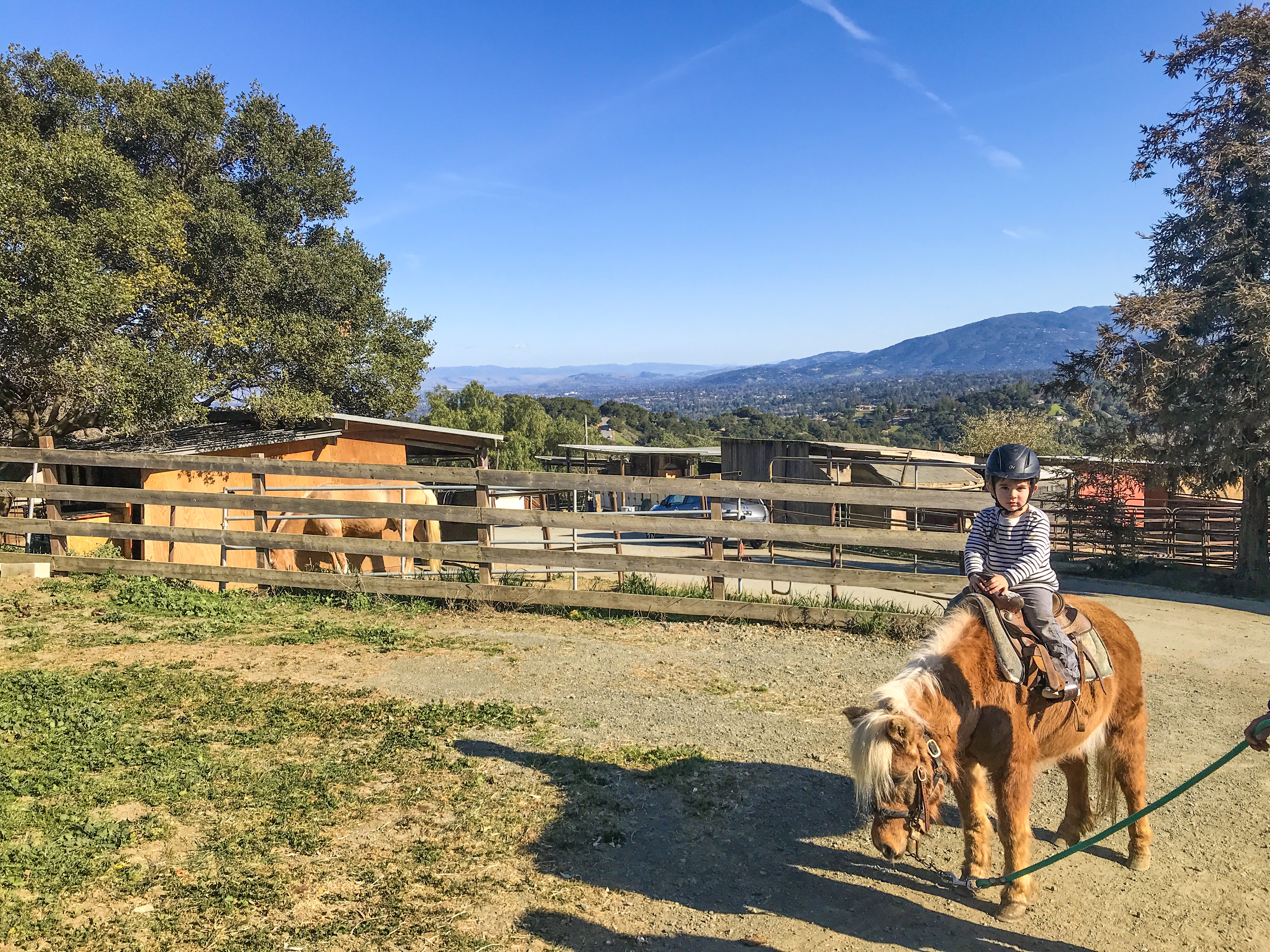 Ultimate List of Kid-Friendly Wineries near San Francisco | San Francisco with Kids | Family Friendly Wineries | Henry and Andrew’s Guide (www.henryandandrewsguide.com)