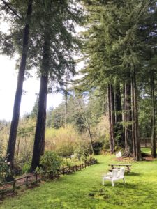 Ultimate List of Kid-Friendly Wineries in Santa Cruz Mountains | San Francisco with Kids | Family Friendly Wineries | Henry and Andrew’s Guide (www.henryandandrewsguide.com)
