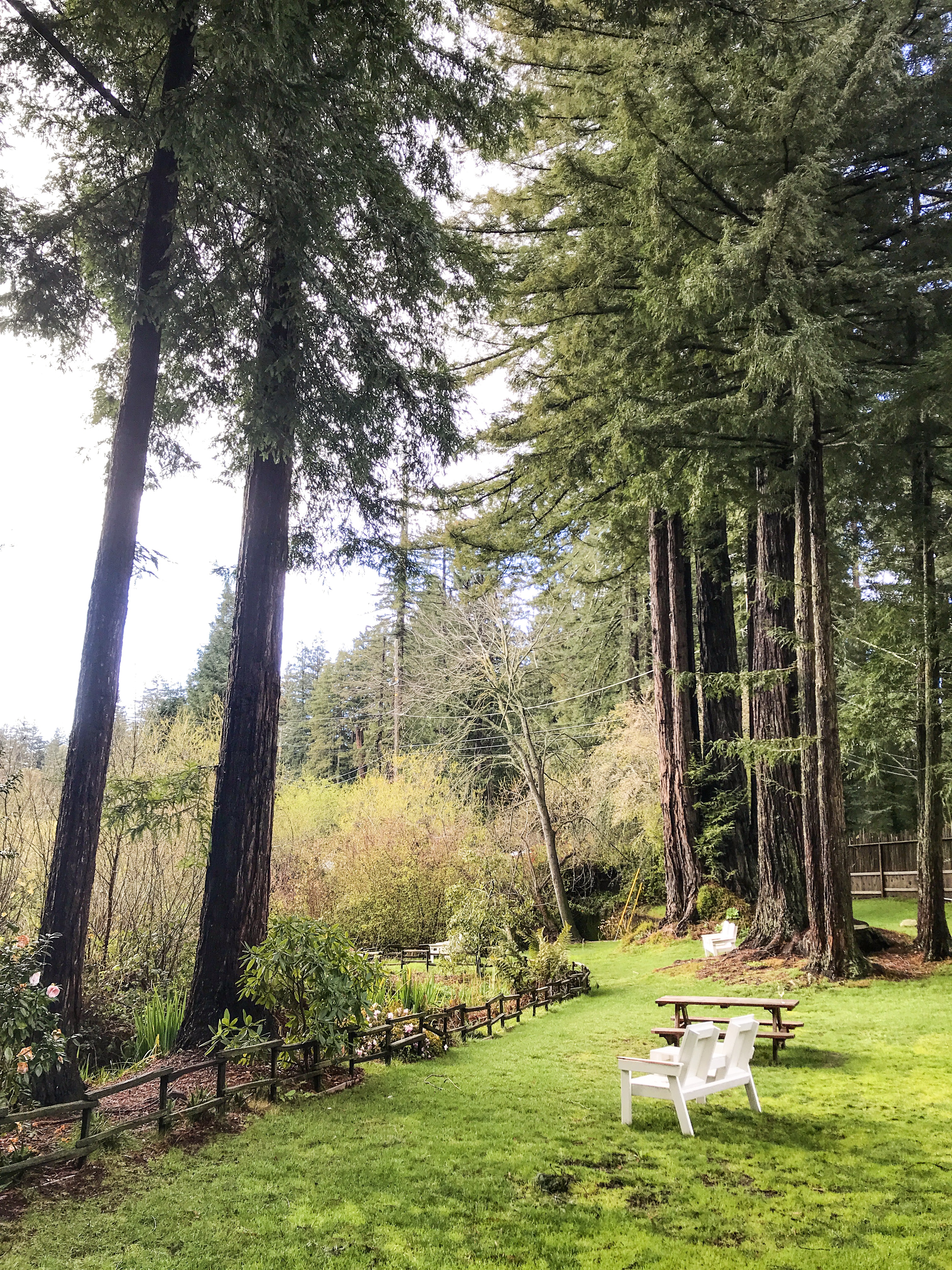 Ultimate List of Kid-Friendly Wineries in Santa Cruz Mountains | San Francisco with Kids | Family Friendly Wineries | Henry and Andrew’s Guide (www.henryandandrewsguide.com)