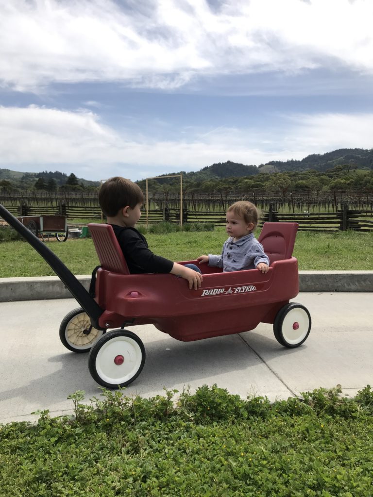 Ultimate List of Kid-Friendly Wineries near the San Francisco Bay Area | Boonville with Kids | Family Friendly Wineries | Henry and Andrew’s Guide (www.henryandandrewsguide.com)