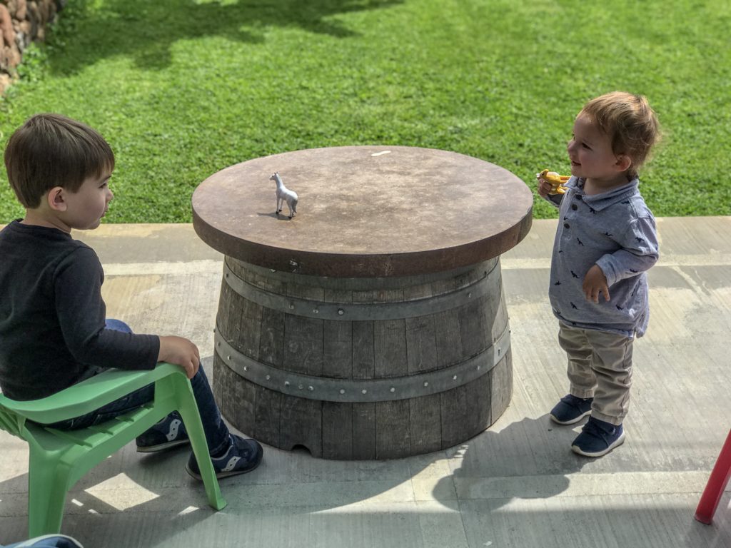 Ultimate List of Kid-Friendly Wineries near the San Francisco Bay Area | Boonville with Kids | Family Friendly Wineries | Henry and Andrew’s Guide (www.henryandandrewsguide.com)