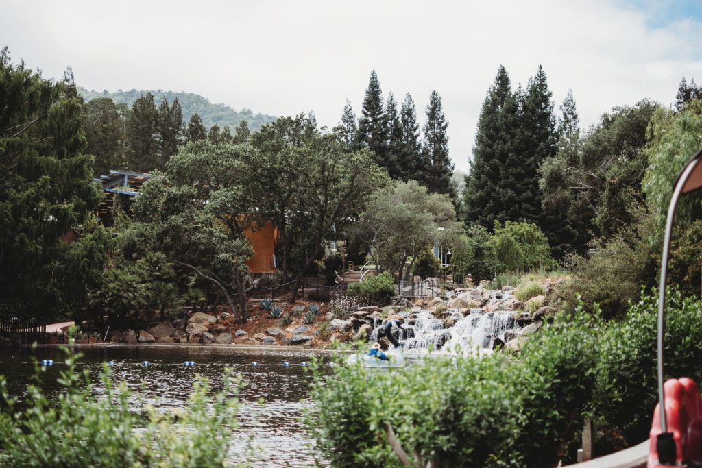 Gorgeous lake at Gilroy Gardens