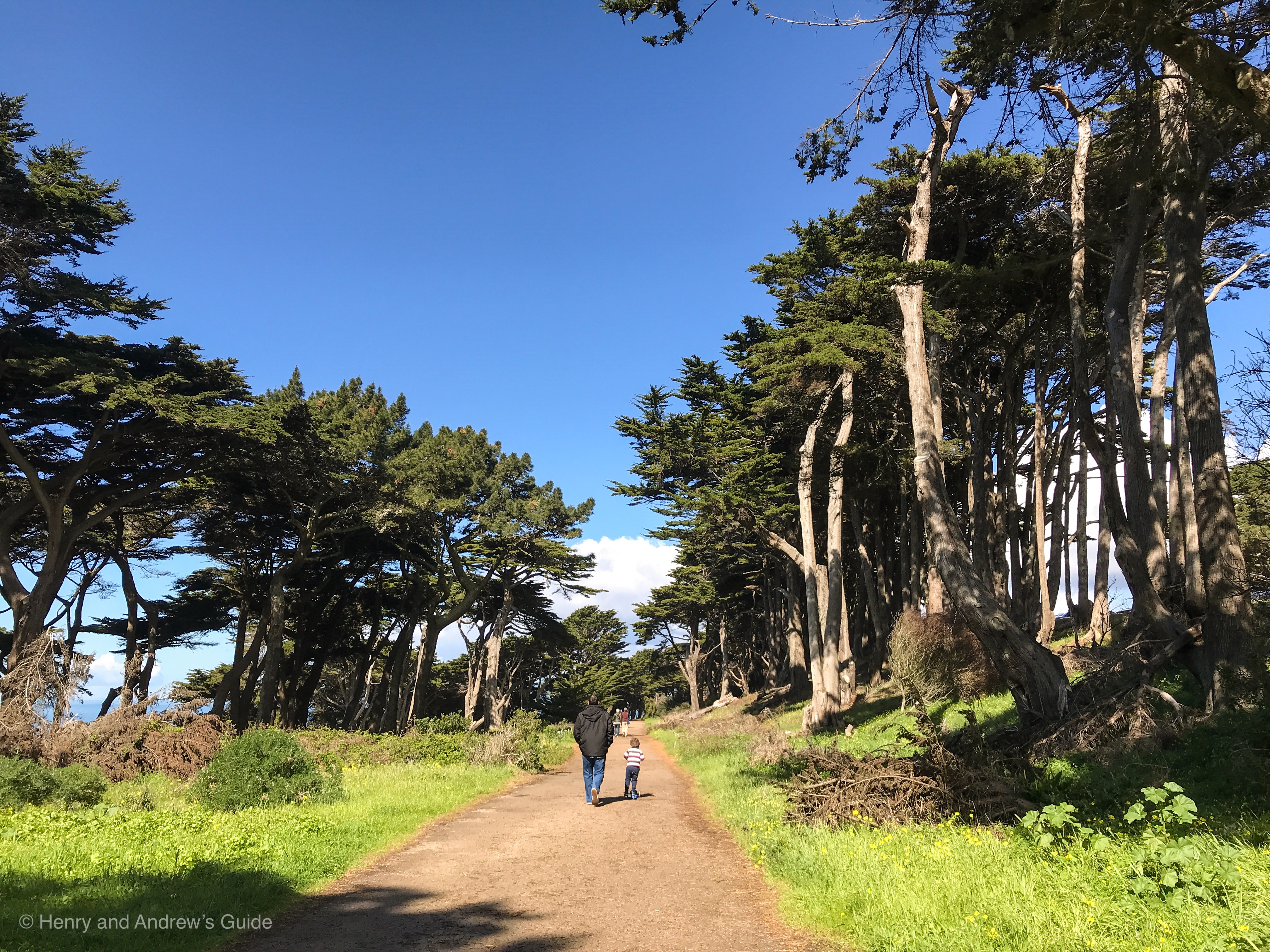 Lands End San Francisco with Kids | San Francisco with Kids | Kid Friendly Hikes in San Francisco | Henry and Andrew’s Guide (www.henryandandrewsguide.com)